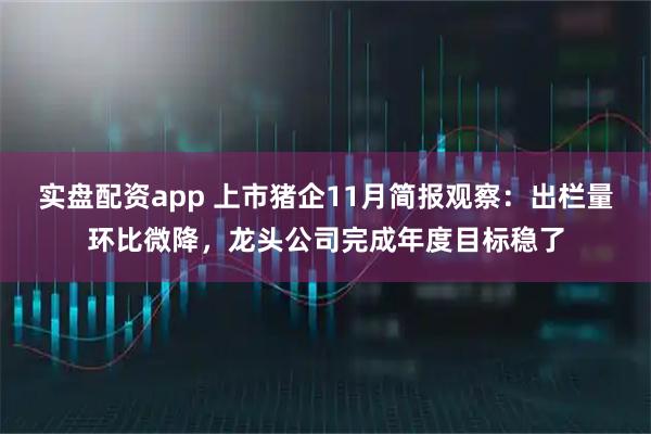 实盘配资app 上市猪企11月简报观察：出栏量环比微降，龙头公司完成年度目标稳了